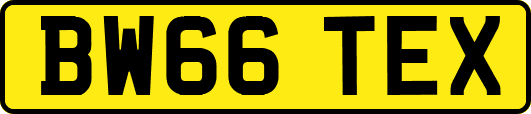 BW66TEX
