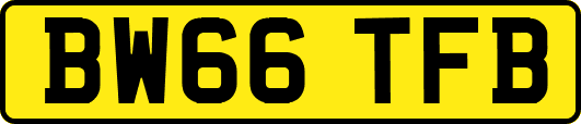 BW66TFB