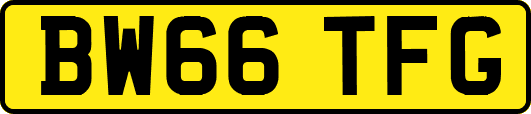 BW66TFG