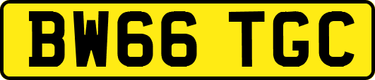 BW66TGC