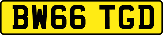 BW66TGD