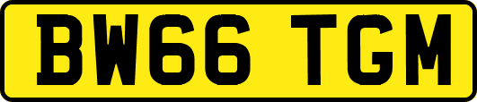 BW66TGM