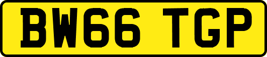 BW66TGP