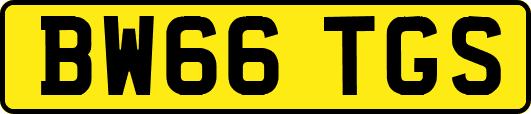 BW66TGS