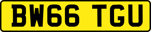 BW66TGU