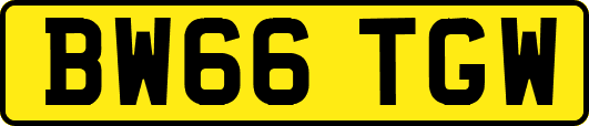 BW66TGW