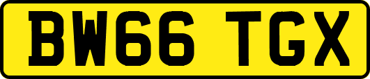 BW66TGX