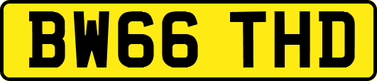 BW66THD
