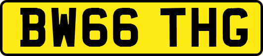 BW66THG