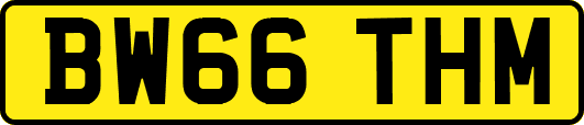 BW66THM