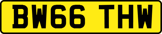 BW66THW