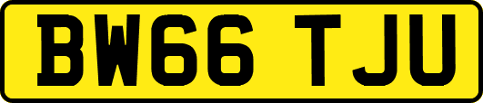 BW66TJU