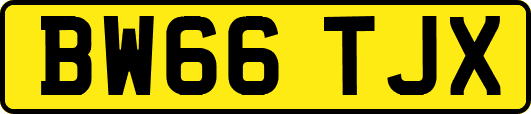 BW66TJX