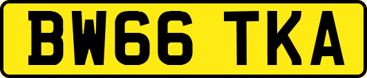 BW66TKA