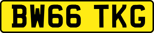BW66TKG
