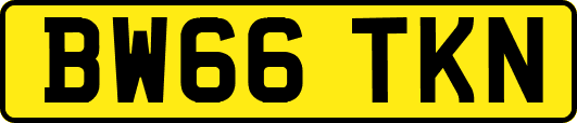 BW66TKN
