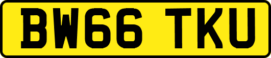 BW66TKU