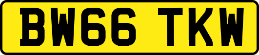 BW66TKW