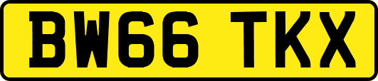 BW66TKX