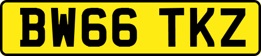 BW66TKZ