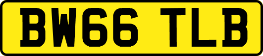 BW66TLB