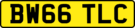 BW66TLC