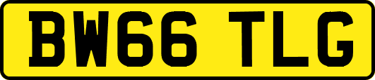 BW66TLG
