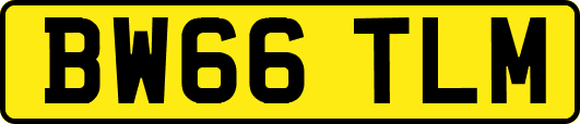 BW66TLM