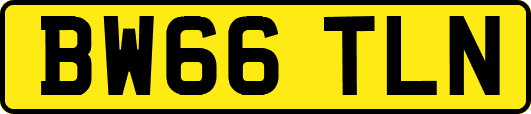 BW66TLN