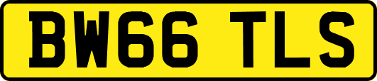 BW66TLS
