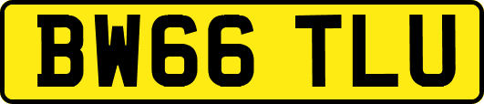 BW66TLU