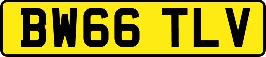 BW66TLV