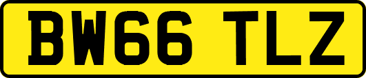 BW66TLZ