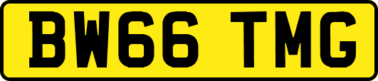 BW66TMG