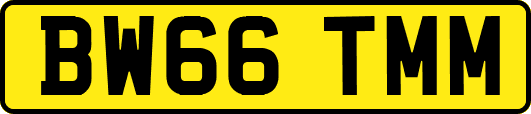 BW66TMM