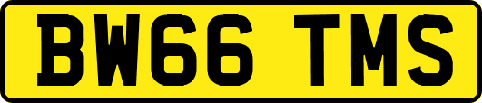 BW66TMS