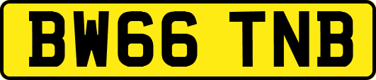 BW66TNB