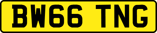 BW66TNG