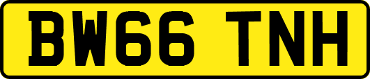 BW66TNH
