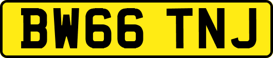 BW66TNJ