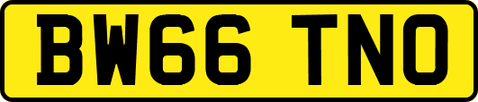 BW66TNO