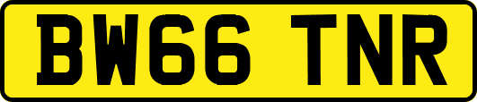 BW66TNR