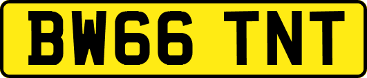 BW66TNT