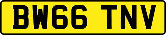 BW66TNV