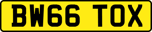 BW66TOX