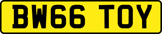 BW66TOY