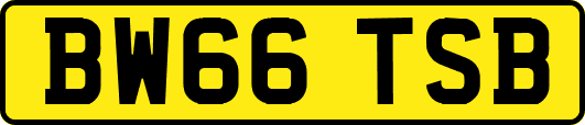 BW66TSB