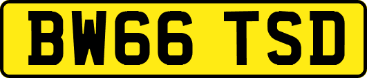 BW66TSD