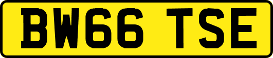 BW66TSE