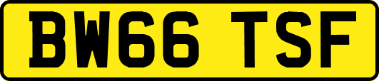 BW66TSF